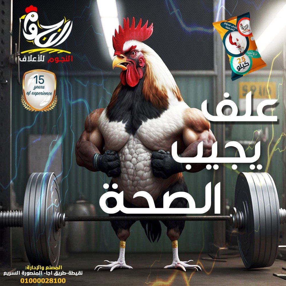 تصميم إبداعي من أعمال Web Tatweer